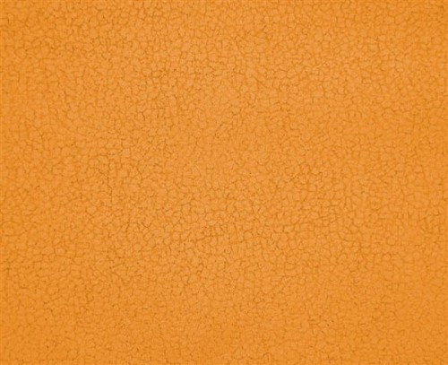 carabu-aquaclean-color-87_1710387_xxl.jpg