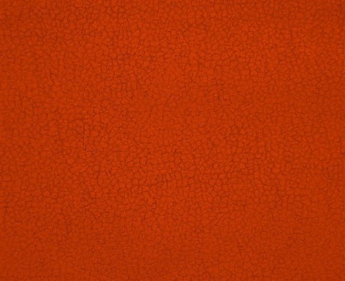 carabu-aquaclean-color-94_1710390_xxl.jpg