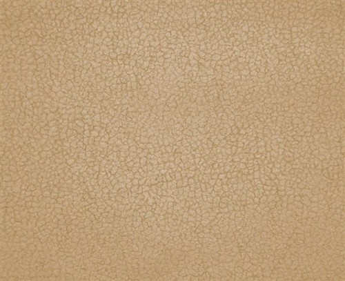 carabu-aquaclean-color-81_1710385_xxl.jpg