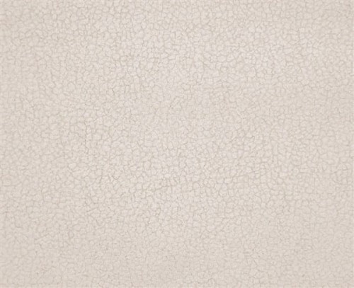 carabu-aquaclean-color-86_1710386_xxl.jpg
