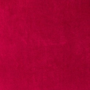 Paris Red Rose