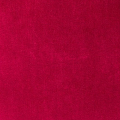 Paris Red Rose.jpg