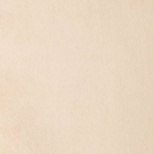 Paris Beige