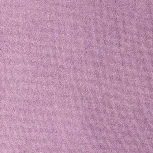 Paris Violet.jpg