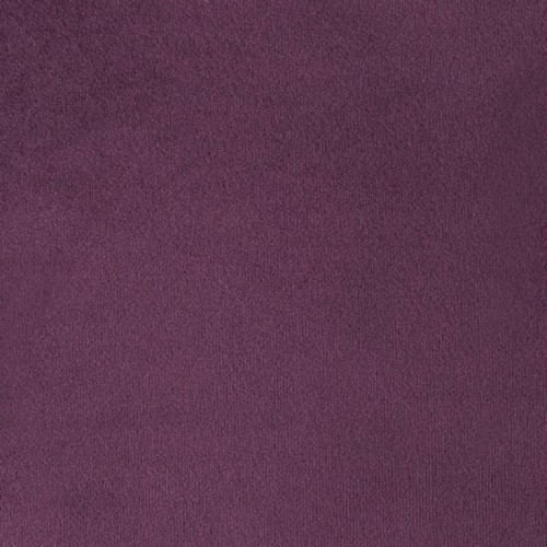 Paris Purple.jpg