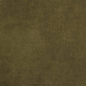 Macau Moss