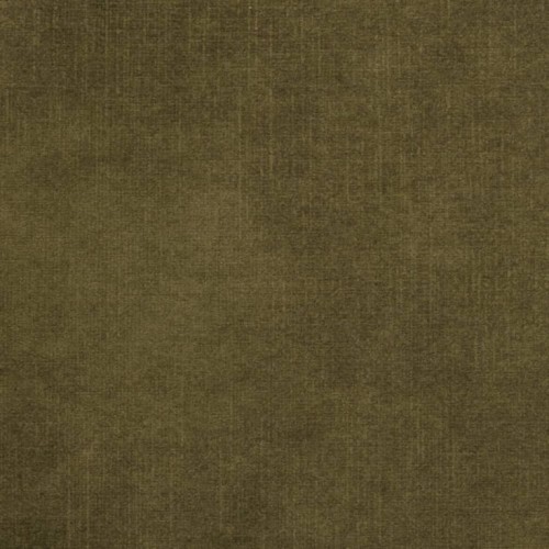 Macau Moss 10.jpg