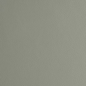 Arizona Light Grey