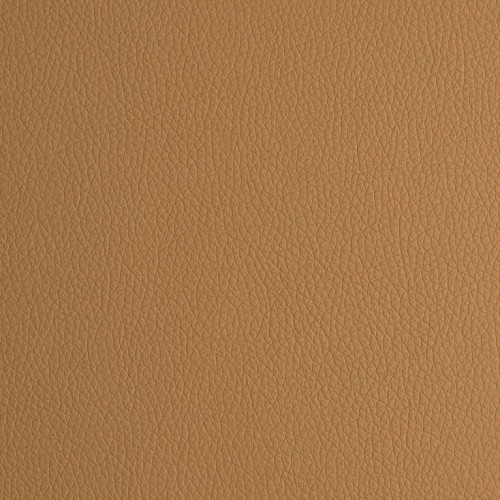 Arizona Carmello.jpg
