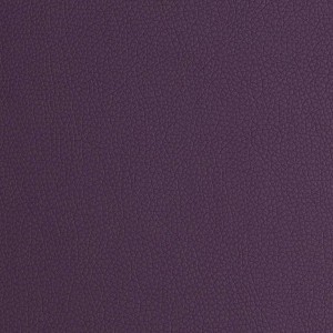 Arizona Purple