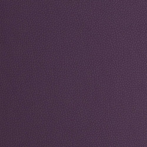 Arizona Purple.jpg