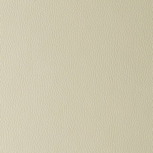 Arizona Beige Butterfly.jpg