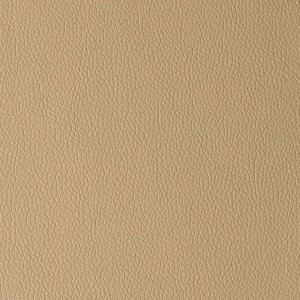 Arizona Beige