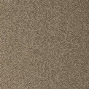 Arizona Taupe