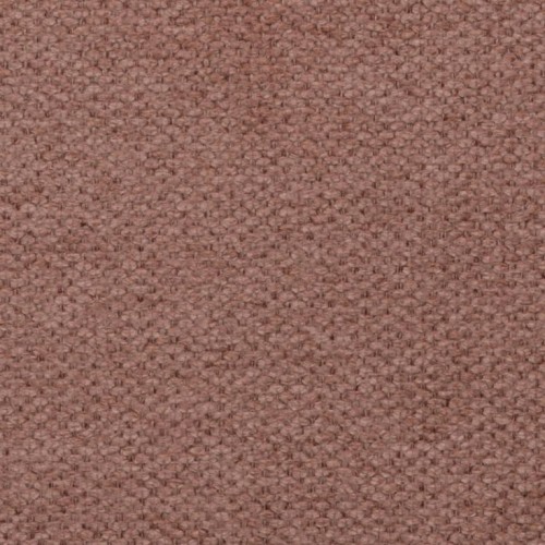 Brooklyn Coral.jpg