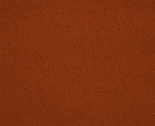 carabu-aquaclean-color-75_1710380_xxl.jpg