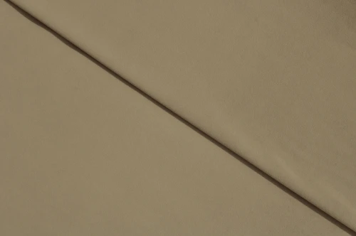 LAST_4_antelope.webp