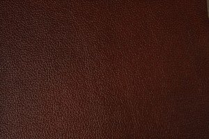 Madras 219
