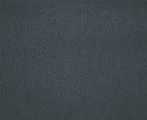 Carabu 110