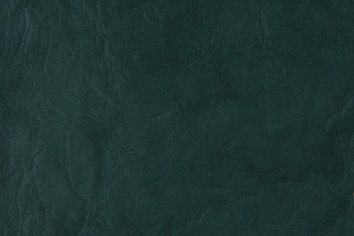 Z814.JPG