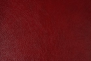 Madras Rosso Cardinale