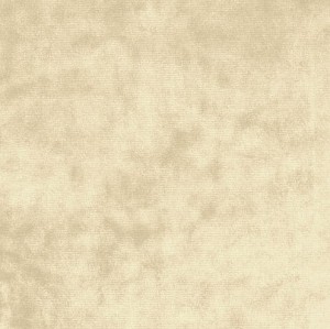 Senib 25