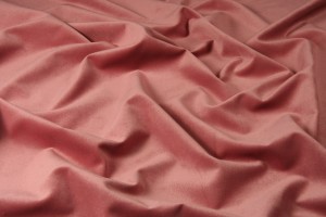 Velvet 54