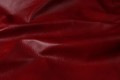 rosso cardinale_2 (Kopiowanie).JPG