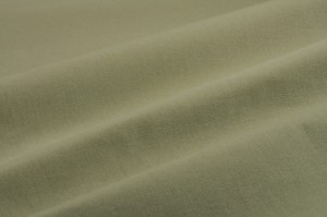 Calisia 6003